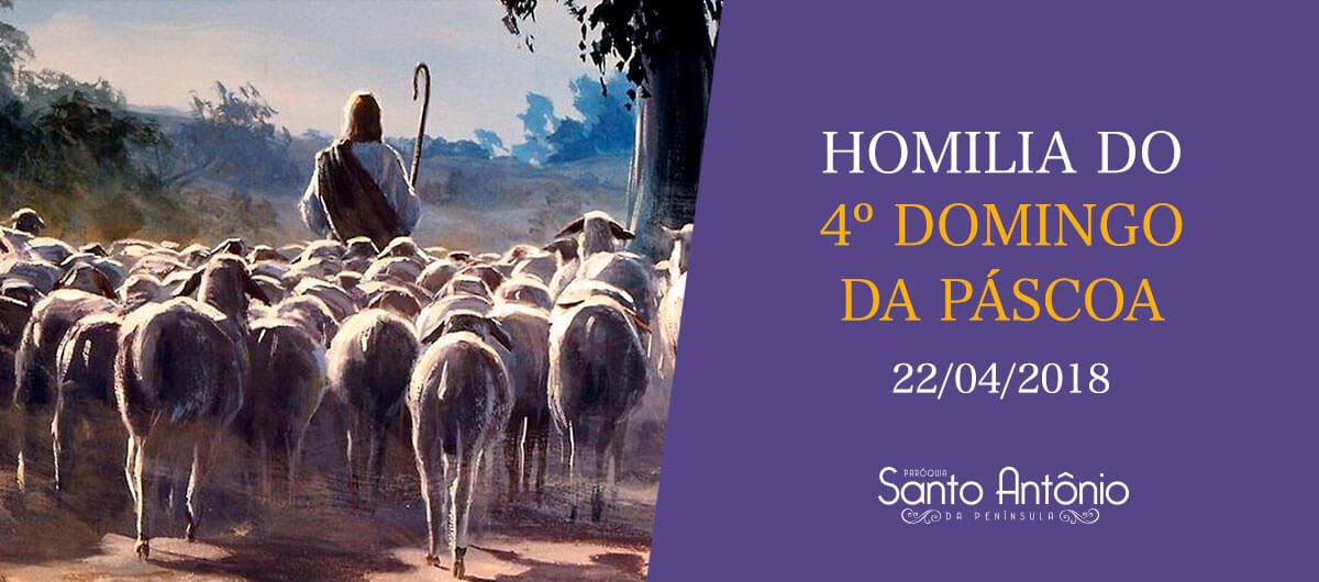 Homilia do 4º Domingo da Páscoa