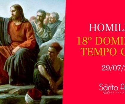 Homilia do 18º Domingo Comum - Pe. Marciano