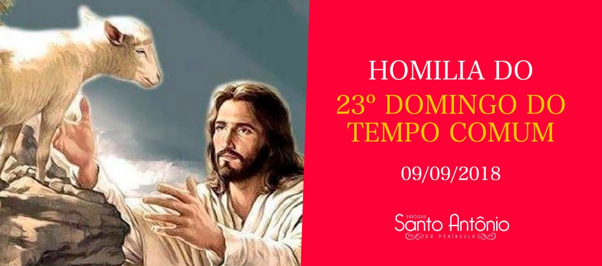 Homilia do 23º Domingo Comum - Pe. Marciano