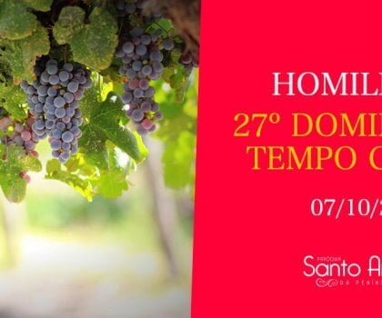Homilia do 27º Domingo Comum - Pe. Marciano
