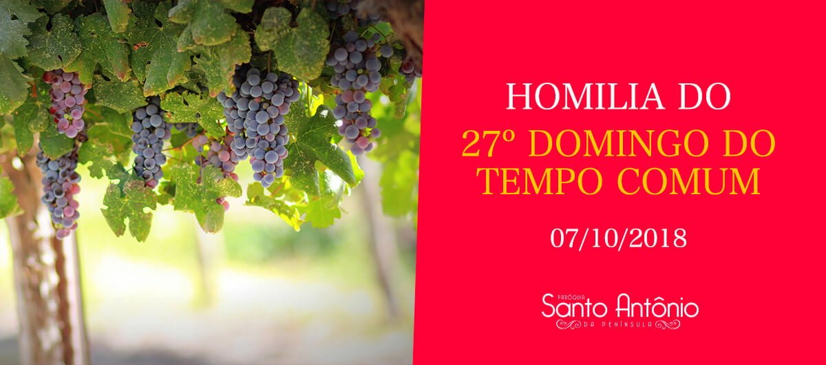 Homilia do 27º Domingo Comum - Pe. Marciano