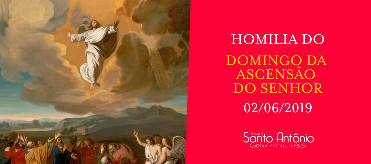 Homilia do Domingo da Ascensão do Senhor